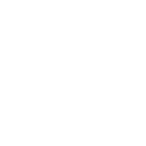 Experience & Certified Professionals Icon presented by SK Tax Agency https://sktaxagency.com