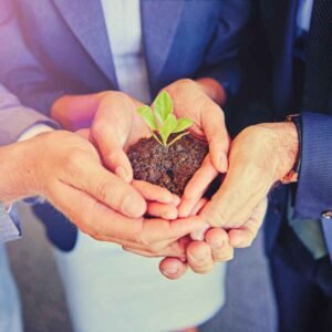 Values of SK Tax Agency https://sktaxagency.com